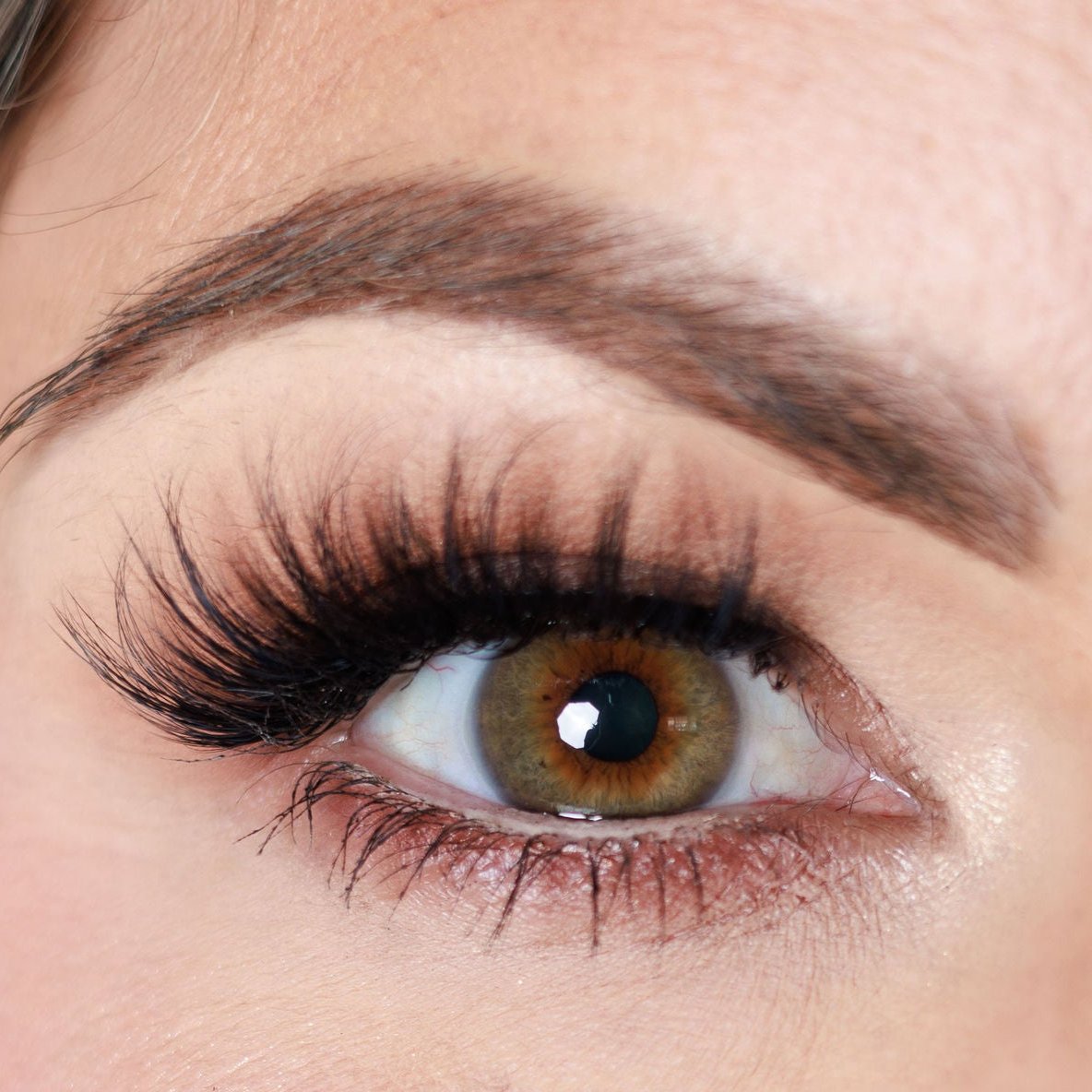 Untamed - 3D Faux Mink Lash